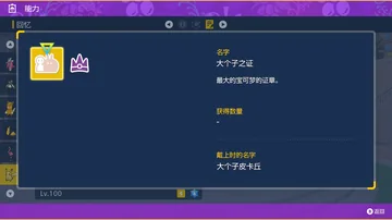 能力
回忆
名字
大个子之证
最大的宝可梦的证章。
获得数量
戴上时的名字
大个子皮卡丘…