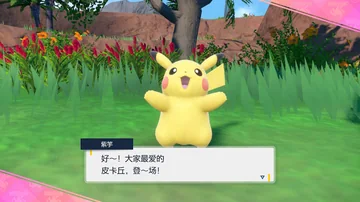 紫竽
好～！大家最爱的
皮卡丘，登～场！