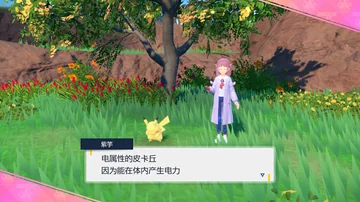 紫竽
电属性的皮卡丘
因为能在体内产生电力