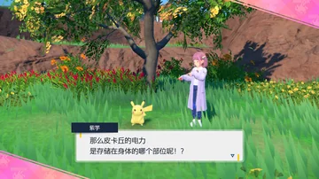 紫竽
那么皮卡丘的电力
是存储在身体的哪个部位呢！？