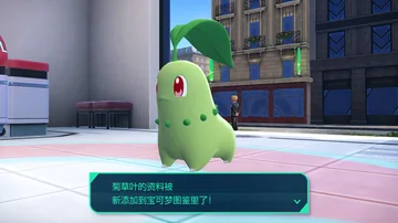 菊草叶的资料被
新添加到宝可梦图鉴里了！