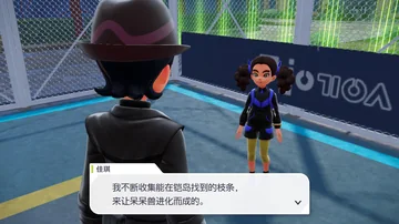 佳琪
我不断收集能在铠岛找到的枝条，
来让呆呆兽进化而成的。