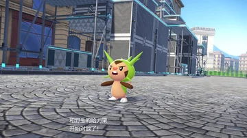 和野生的哈力栗
开始对战了！