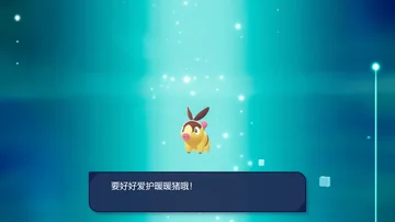 要好好爱护暖暖猪哦！